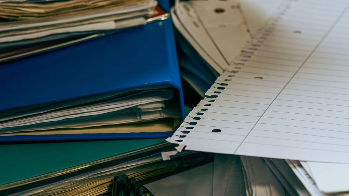 简一成长视点 | 执行功能的力量：如何帮助孩子学会学习
