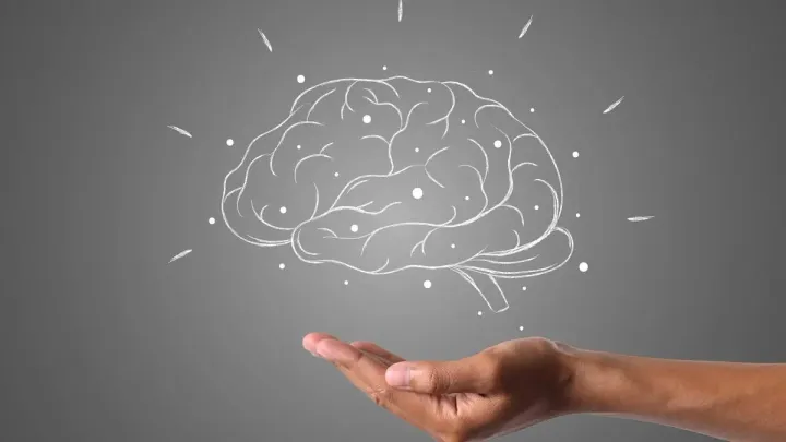 简一思迈报道 | 认识你的大脑：从暂停的力量到忽略的艺术